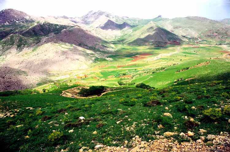 کوه کوچسار واقع در شهر سنندج