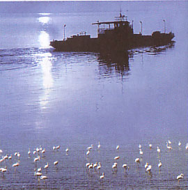 دریاچه ارومیه   واقع در شهر ارومیه